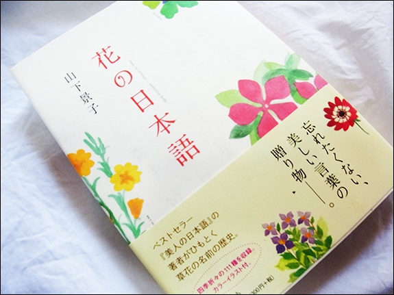 花の日本語（幻冬舎）のイラスト