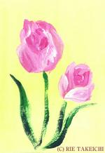 1月25日の誕生花と花言葉 ビワ チューリップ アンジェリケ 一年366日の花のイラスト