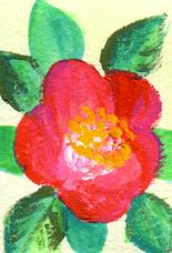 2月4日の誕生花と花言葉 ブルーデージー 椿 一年366日のイラスト