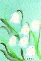 2月23日の誕生花と花言葉 ミルトニア スノーフレーク 一年366日のイラスト