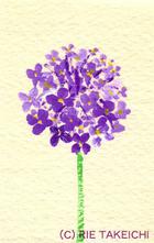 3月10日の誕生花と花言葉 花のイラスト 一年366日の花言葉と誕生花のイラストレーション