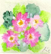 3月25日の誕生花と花言葉 花のイラスト 一年366日の花言葉と誕生花のイラストレーション