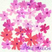 4月8日の誕生花と花言葉 チューリップ白 芝桜 一年366日の花言葉と誕生花のイラストレーション