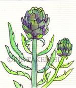 6月4日の誕生花と花言葉 ゴデチア アーティチョーク 一年366日の花言葉と誕生花のイラストレーション