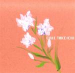 6月8日の誕生花と花言葉 クチナシ シャガ 一年366日の花言葉と誕生花のイラストレーション