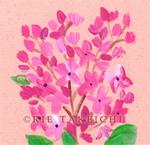 6月11日の誕生花と花言葉 ラベンダー ライラック 一年366日の花言葉と誕生花のイラストレーション