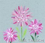 6月24日の誕生花と花言葉 黄菖蒲 アストランチア 一年366日の花言葉と誕生花のイラストレーション