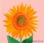 7月6日の誕生花と花言葉 時計草 ヒマワリ 一年366日の花言葉と誕生花のイラストレーション