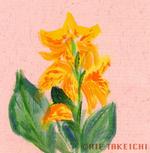 9月13日の誕生花と花言葉 花のイラスト 一年366日の花言葉と誕生花のイラストレーション