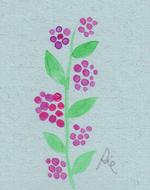 11月6日の誕生花と花言葉 野牡丹 紫式部の実 一年366日の花言葉と誕生花のイラストレーション