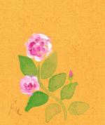 11月9日の誕生花と花言葉 ツルウメモドキの実 ツルバラ 一年366日の花言葉と誕生花のイラストレーション