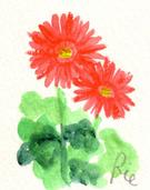 12月30日の誕生花と花言葉 花のイラスト 一年366日の花言葉と誕生花のイラストレーション