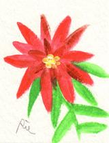 1月22日の誕生花と花言葉 グズマニア スノードロップ 一年366日の花のイラスト