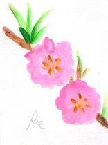 3月3日の誕生花と花言葉 花のイラスト 一年366日の花言葉と誕生花のイラストレーション