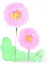 3月4日の誕生花と花言葉 花のイラスト 一年366日の花言葉と誕生花のイラストレーション