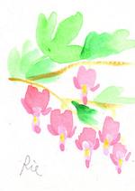 3月6日の誕生花と花言葉 花のイラスト 一年366日の花言葉と誕生花のイラストレーション