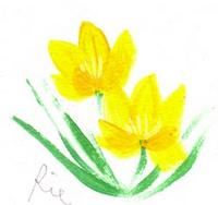 3月9日の誕生花と花言葉 花のイラスト 一年366日の花言葉と誕生花のイラストレーション