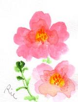 3月19日の誕生花と花言葉 花のイラスト 一年366日の花言葉と誕生花のイラストレーション