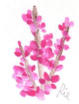 4月6日の誕生花と花言葉 ハナズオウ シノグロッサム 一年366日の花言葉と誕生花のイラストレーション