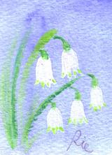 4月9日の誕生花と花言葉 スノーフレーク ウォールフラワー 一年366日の花言葉と誕生花のイラストレーション