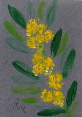 4月10日の誕生花と花言葉 月桂樹 リナリア 一年366日の花言葉と誕生花のイラストレーション