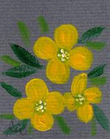 4月13日の誕生花と花言葉 ウォールフラワー サクラ 一年366日の花言葉と誕生花のイラストレーション