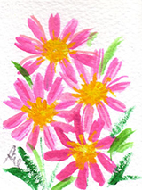 4月15日の誕生花と花言葉 ミヤコワスレ バラ 一年366日の花言葉と誕生花のイラストレーション