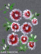 4月25日の誕生花と花言葉 ビジョナデシコ 美女撫子 一年366日の花言葉と誕生花のイラストレーション