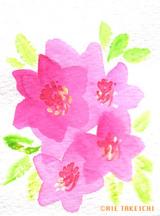 5月8日の誕生花と花言葉 シャクナゲ マツバギク 一年366日の花言葉と誕生花のイラストレーション